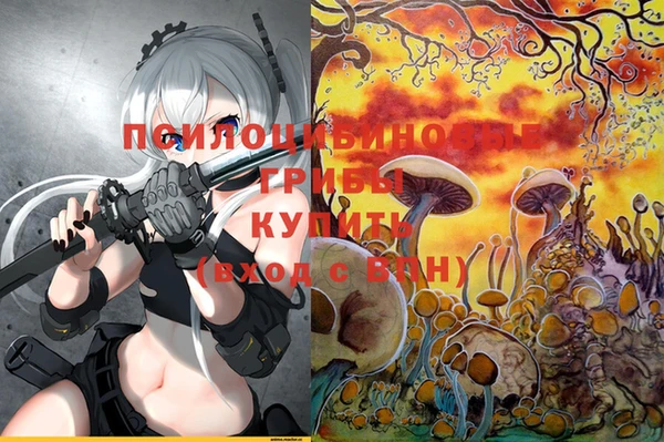 соль курить ск Армянск