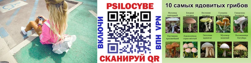 Галлюциногенные грибы GOLDEN TEACHER  Купить где  Динская 
